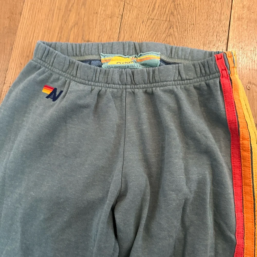 Aviator Nation Blue Sweatpants with Colorful Stripes - Picture 2 of 8